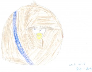 sxh (10)